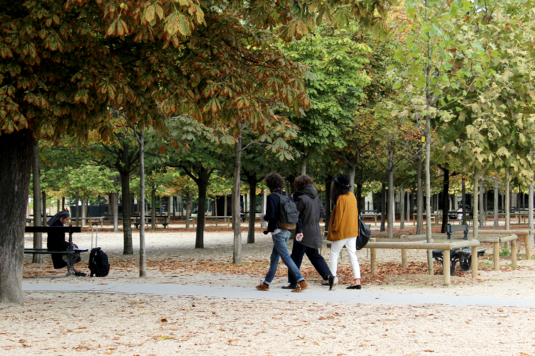 Ох уж эти французские сады и карусели. Париж - семь.