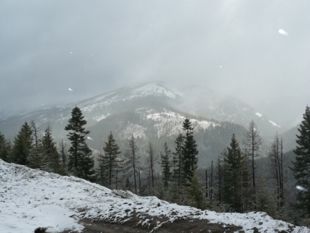 Штаты Вайоминг, Монтана,