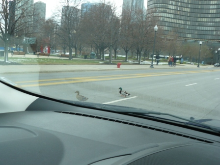 Чикаго и самый большой небоскреб Америки