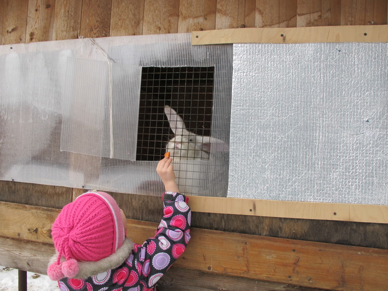 Зимние каникулы