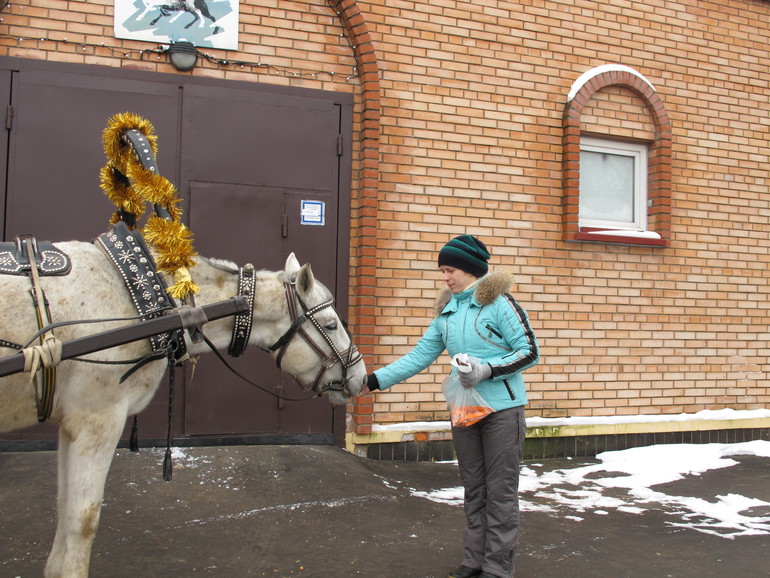Зимние каникулы