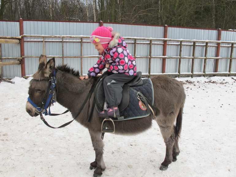 Зимние каникулы