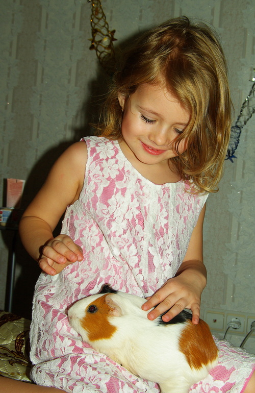 видное 2014