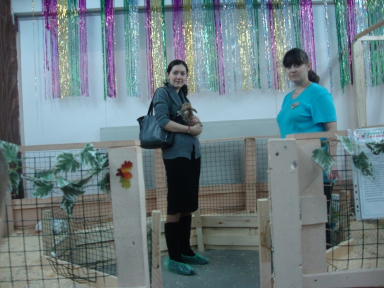 Контактный зоопарк в Теплом стане