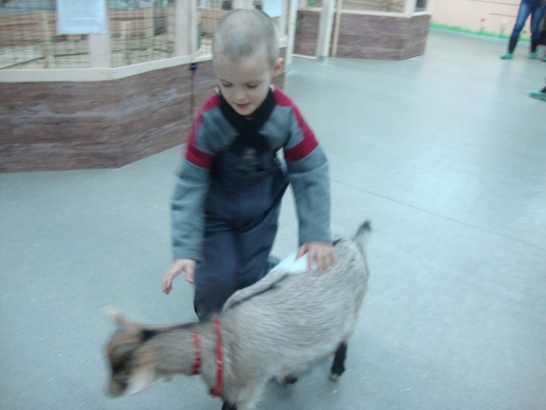 Контактный зоопарк в Теплом стане