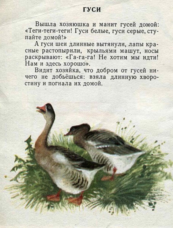 К.Ушинский: Бишка. Художник Н.Устинов