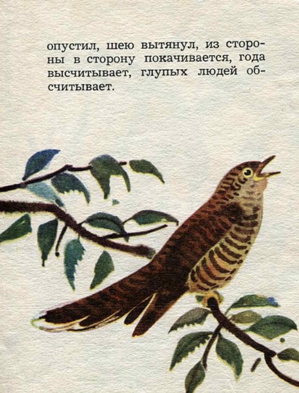 К.Ушинский: Ласточка. Худ.В.Федотов.