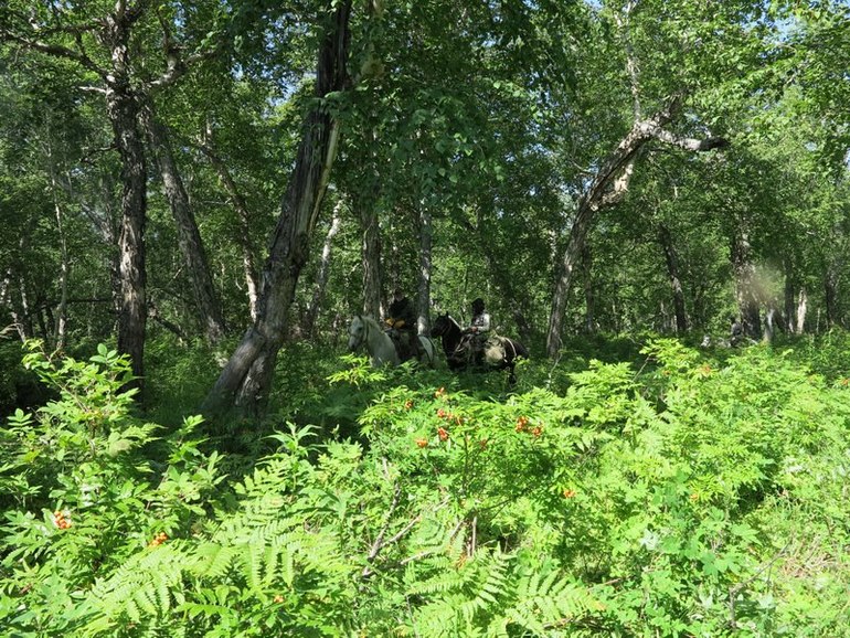 Камчатка - любовь моя. Осторожно, куча фото)