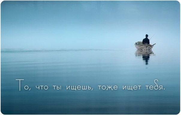 О главном
