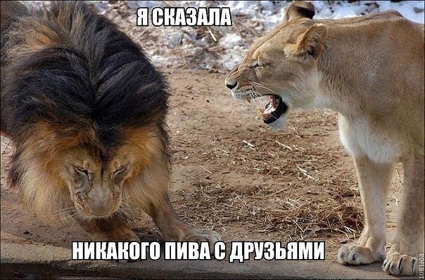 Юмор дня