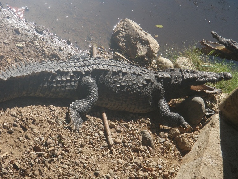 Курортники :)