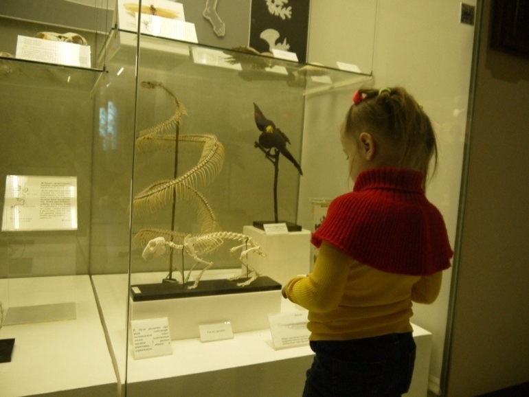 Соня в Дарвиновском музее