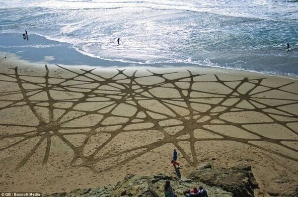 Как вам такая разновидность искусства?