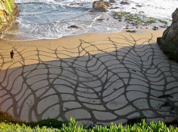 Как вам такая разновидность искусства?