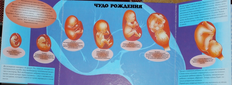 Пополнение детской библиотеки