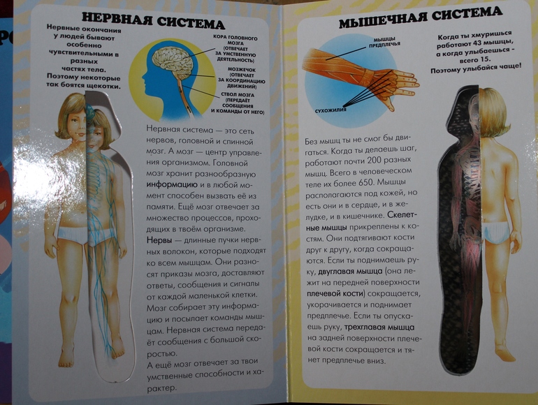 Пополнение детской библиотеки