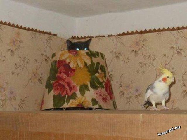 Порция пятничного позитива:)