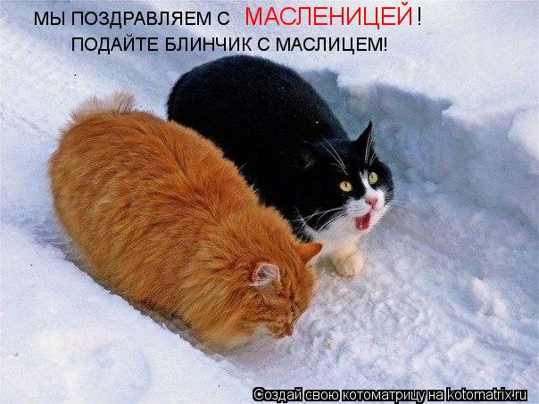 Масленица:)