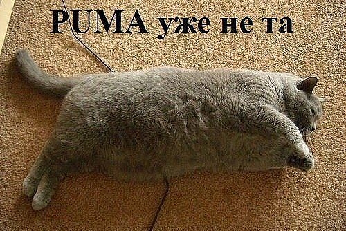 Порция пятничного позитива:)