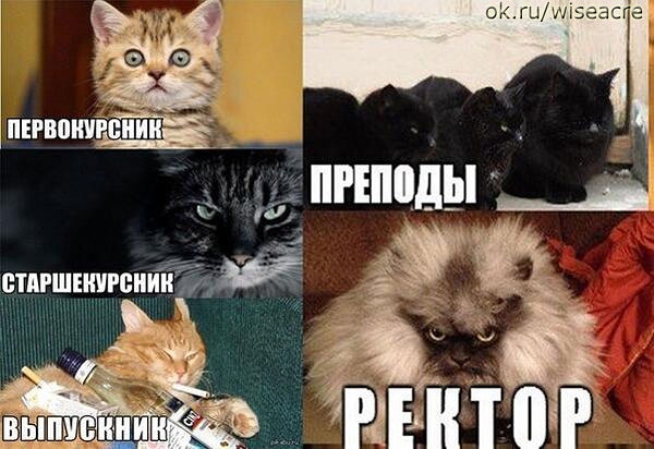 Немного позитива.