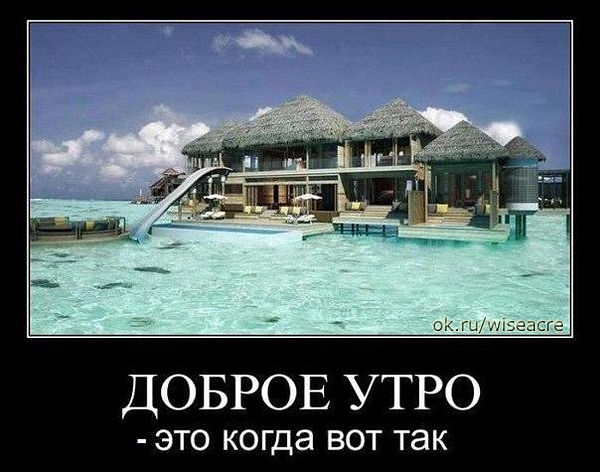 Немного позитива.