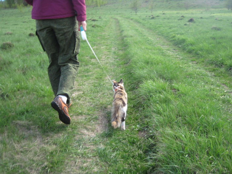 Кун-каникулы