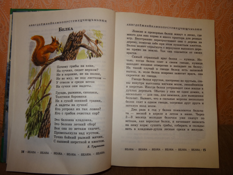 Книга про животных