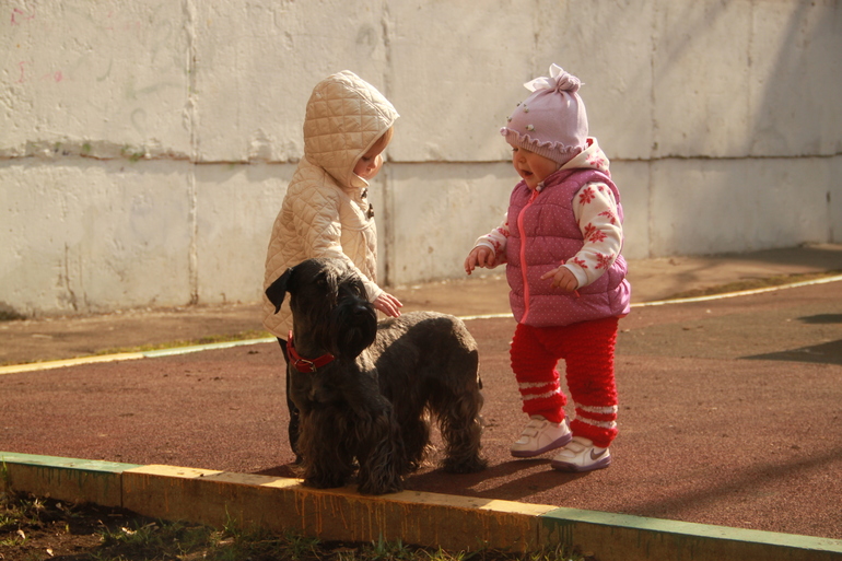 Прогулка с Верой