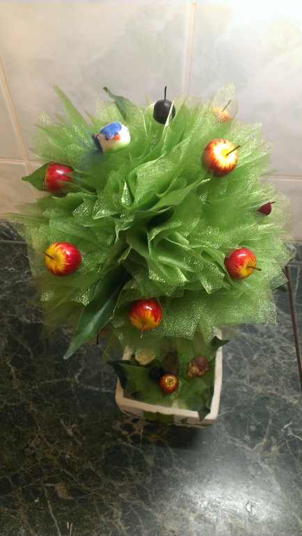 Первое деревце.