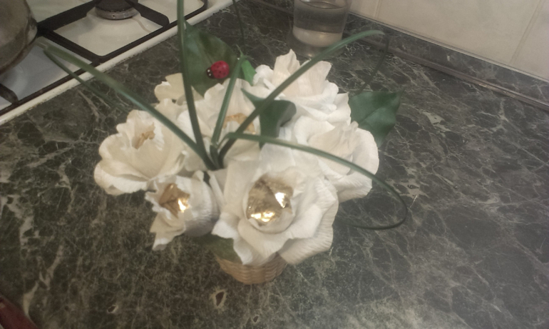 мои первенцы