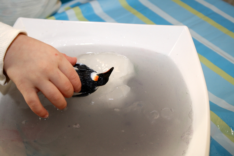 ТН "Арктика и Антарктика"