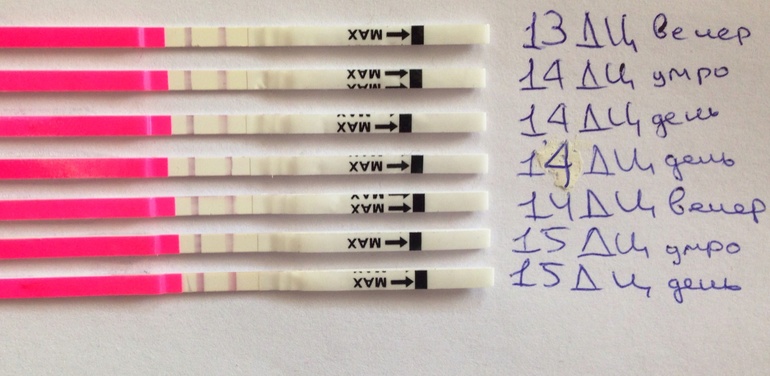 Когда же уже будет овуляция?(