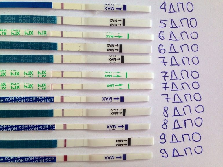 Тссссс! Мы ярчаем!)))и это 100 пудов не реагенты!