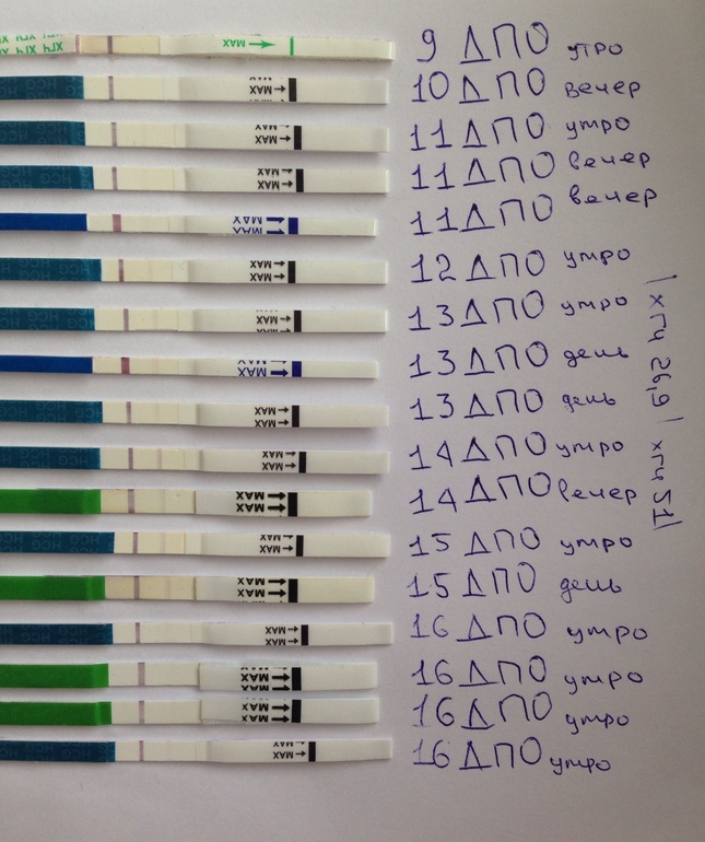 Это все? Надежды нет???