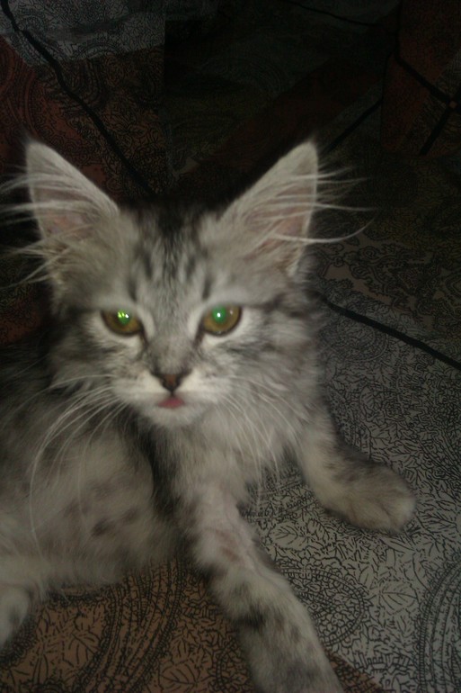 Моя девочка любимая)