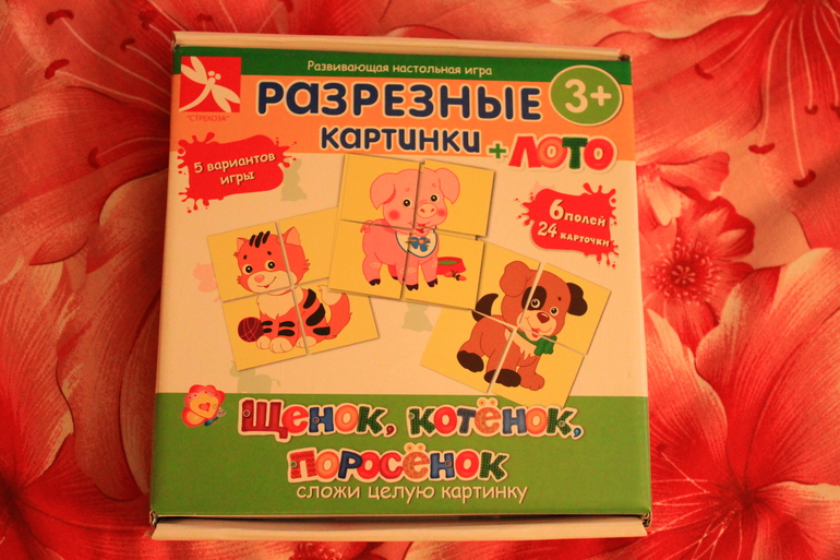 новые развивашки