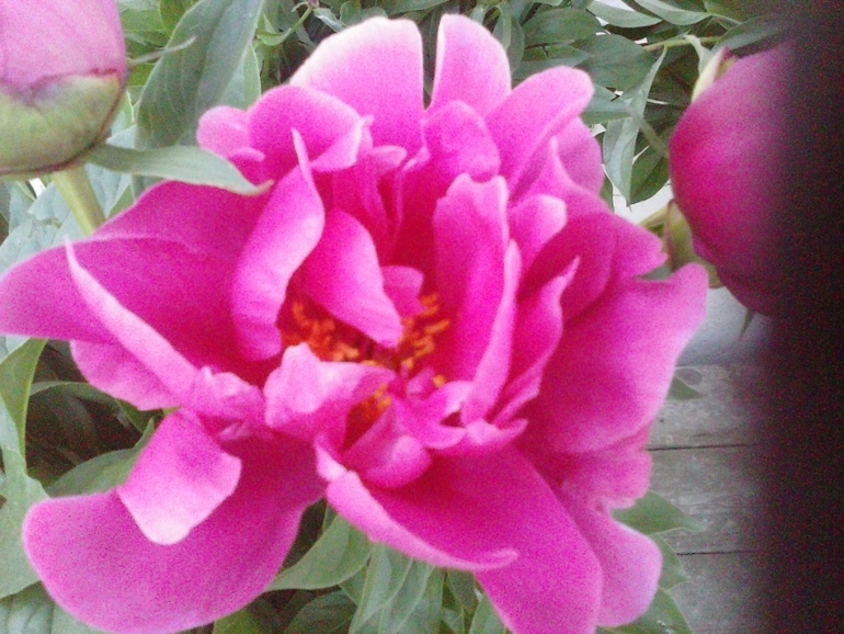 Хочу скорее лето!!!