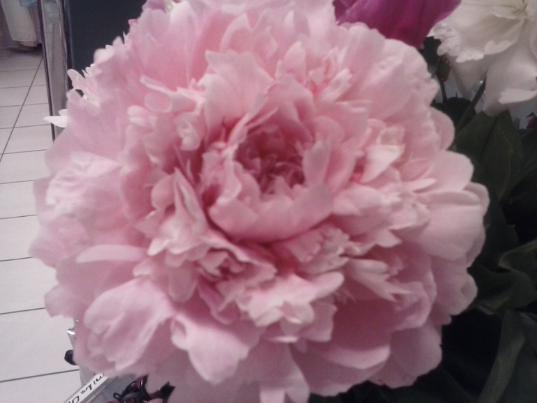 Хочу скорее лето!!!