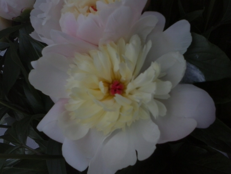 Хочу скорее лето!!!