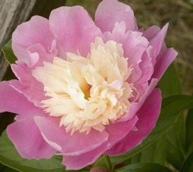 Хочу скорее лето!!!