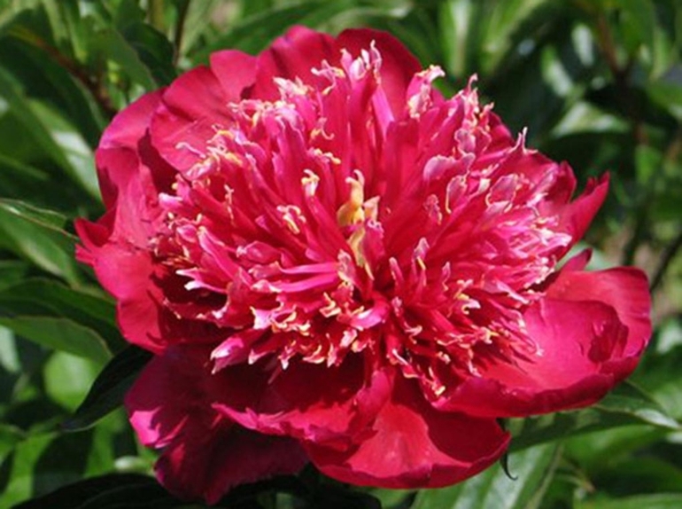 Хочу скорее лето!!!