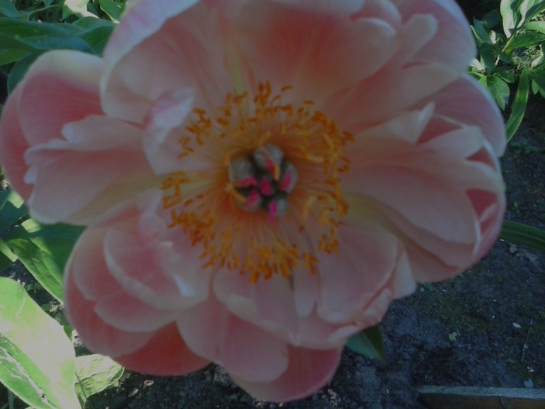 Хочу скорее лето!!!