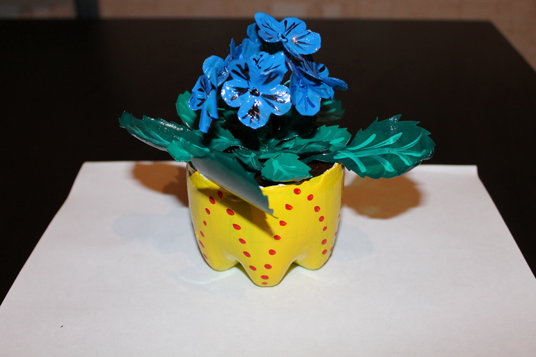 Фиалки в садик