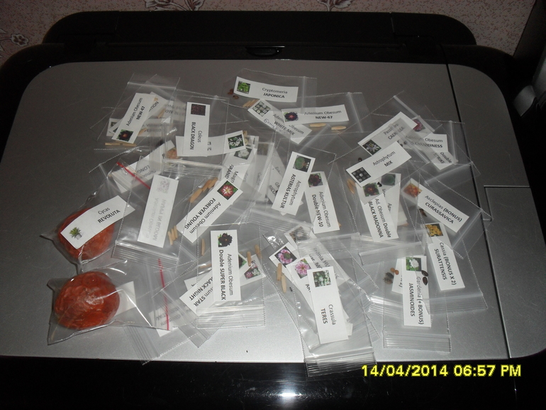 Надеюсь все взойдет....