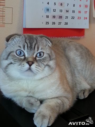 Жду с нетерпением.....