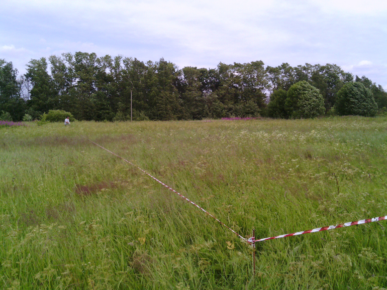 Земля!Хвалюсь)