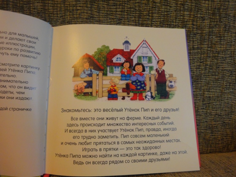Наше книжное пополнение в честь ДР и НГ!