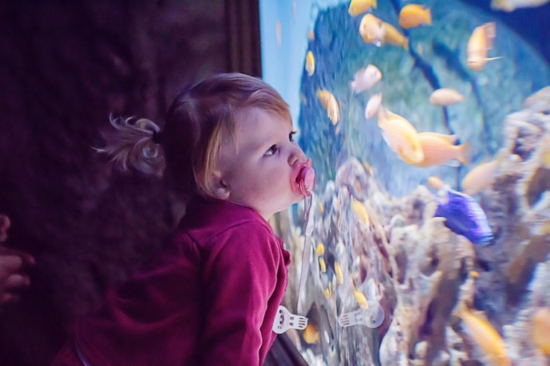 Океанариум 2013-10-26