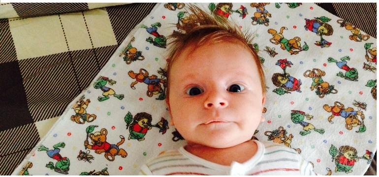 Бантюльке 7 недель