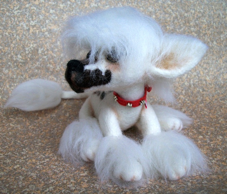 Экзот в моей коллекции.